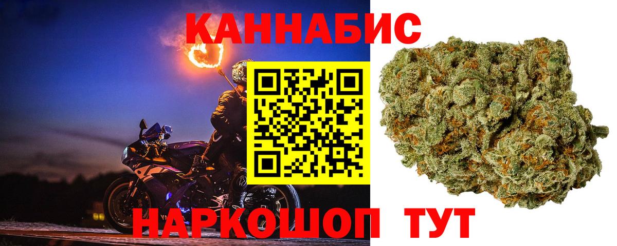 Конопля сатива Лангепас